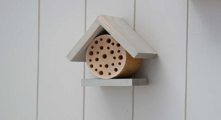 PATKAR Insektenhotel